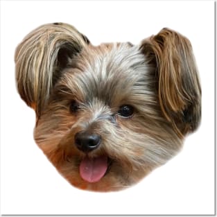 YORKIE Posters and Art